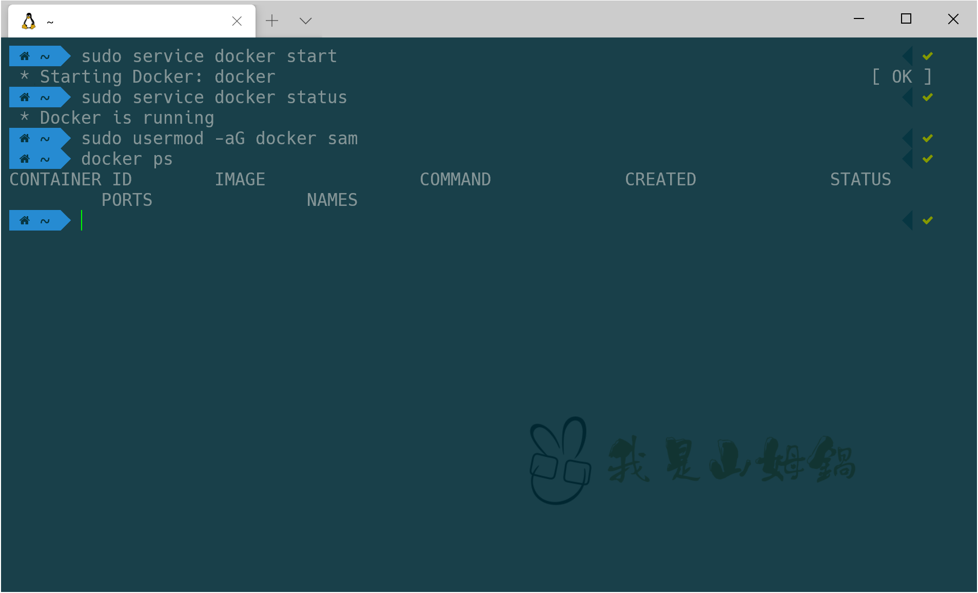 Start docker service