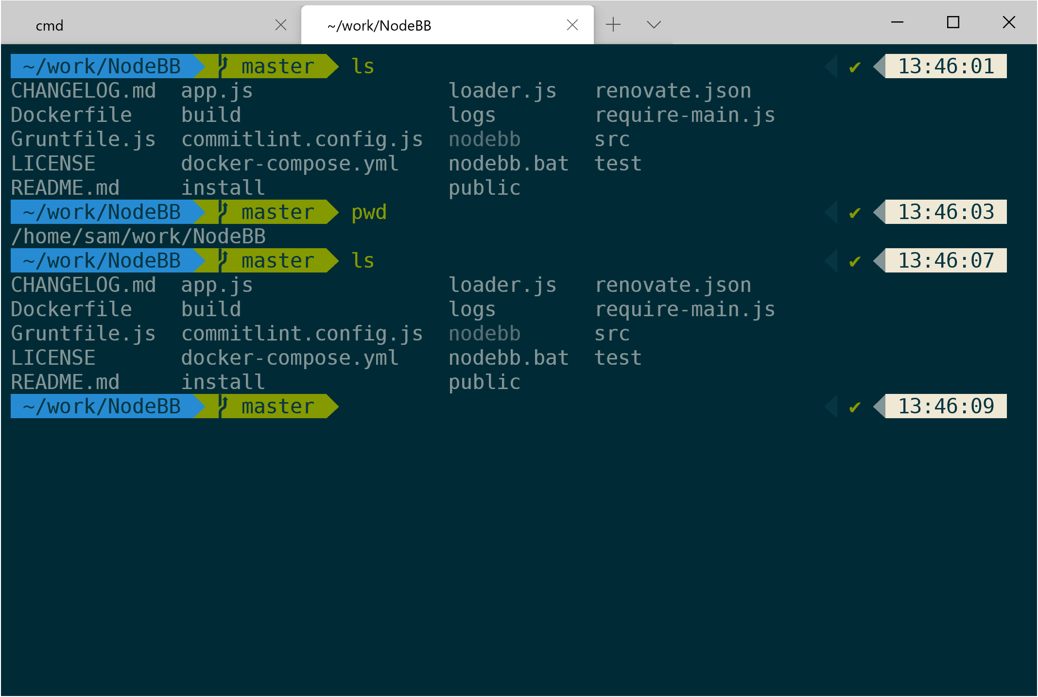 Windows terminal